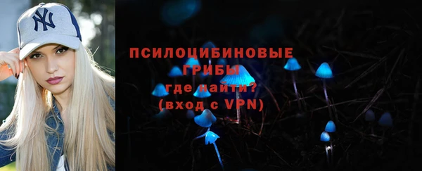 гидра Алексин