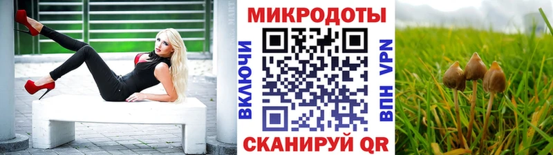 Галлюциногенные грибы GOLDEN TEACHER  наркошоп  Асино 