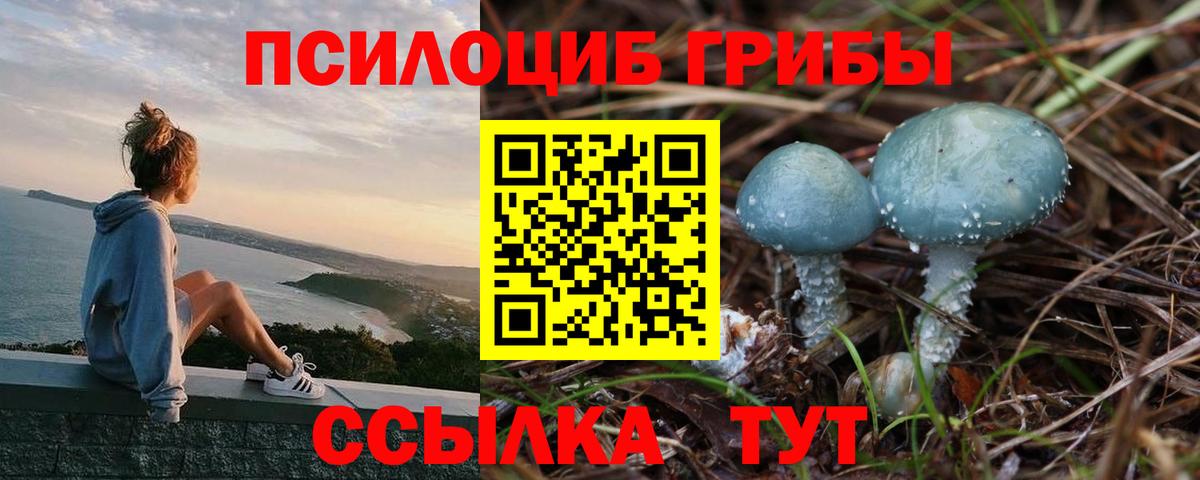 Псилоцибиновые грибы Psilocybe  Вход с VPN  Асино  Галлюциногенные грибы мухоморы 