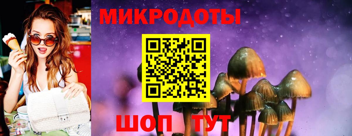 Псилоцибиновые грибы Cubensis Асино