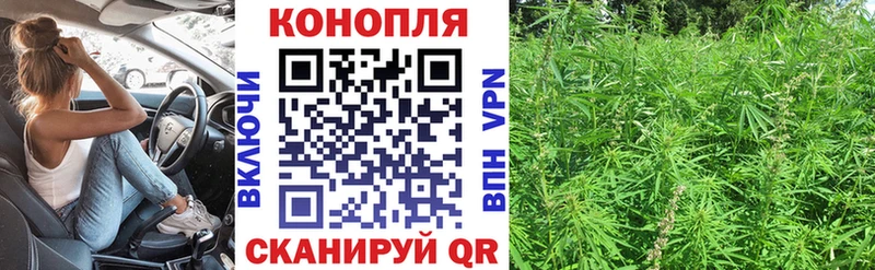 МАРИХУАНА LSD WEED  где можно купить   Асино 